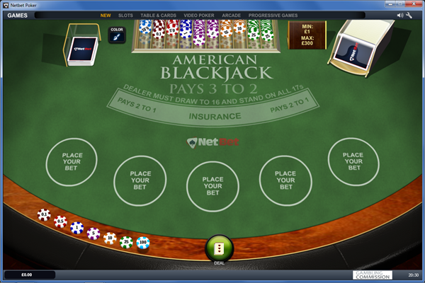 NetBet Casino screen shot